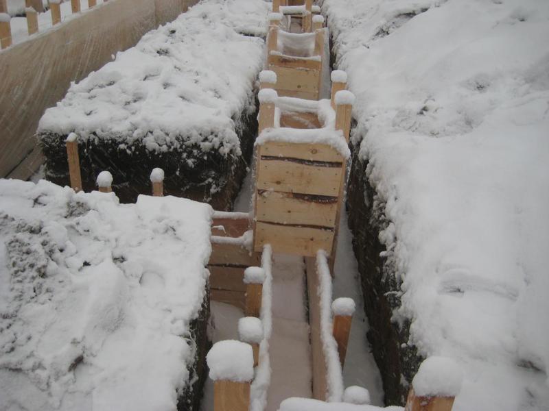 post-58006-0-60414100-1447077147_thumb.j