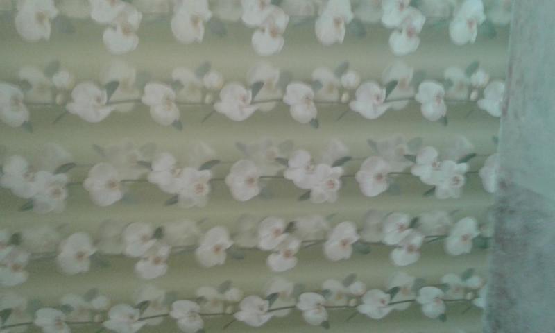 post-83789-0-16041800-1447816027_thumb.j