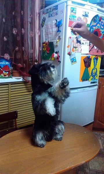 post-88106-0-36774800-1447084126_thumb.j