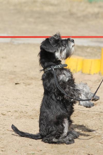 post-88106-0-38479500-1447083766_thumb.j