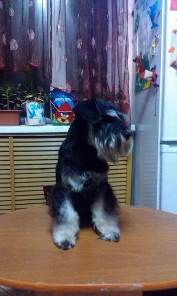 post-88106-0-77991000-1447084061_thumb.j