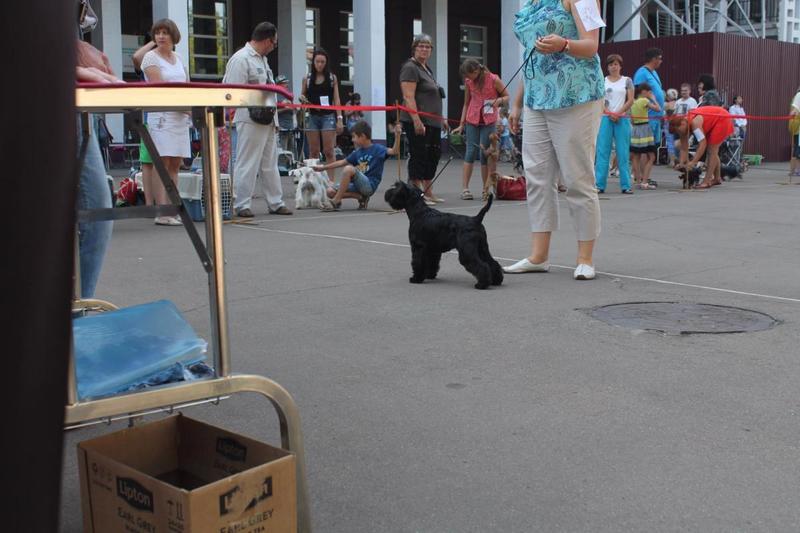 post-88106-0-83734700-1447082247_thumb.j