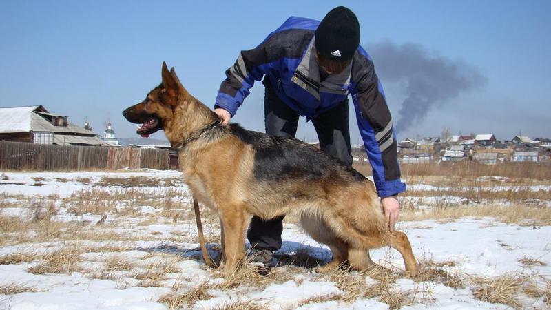 post-2198-0-25387800-1418315234_thumb.jp