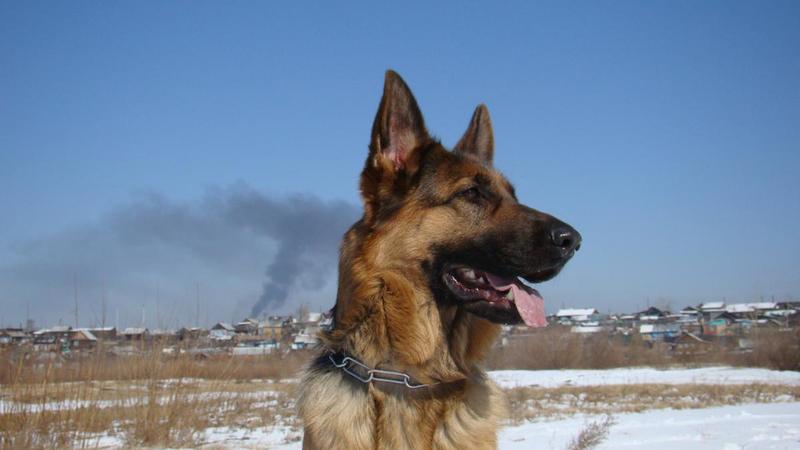 post-2198-0-52120300-1418315207_thumb.jp