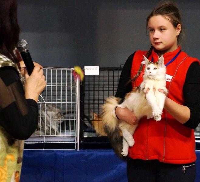 post-3025-0-65721900-1418153264_thumb.jp