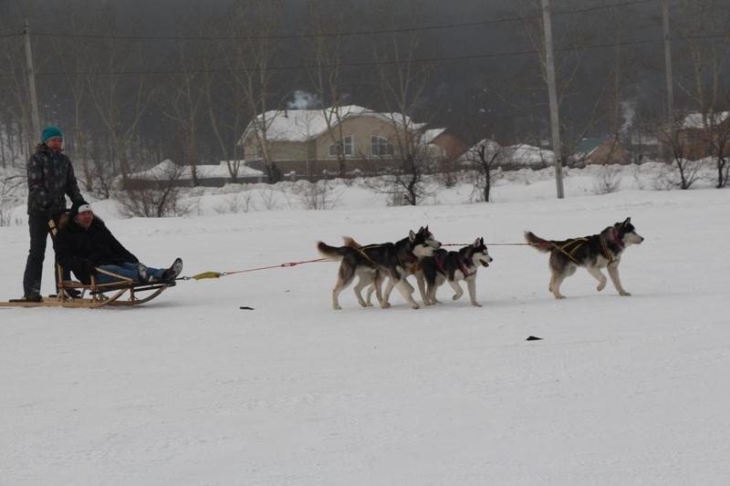 post-49415-0-53494600-1418878823_thumb.j