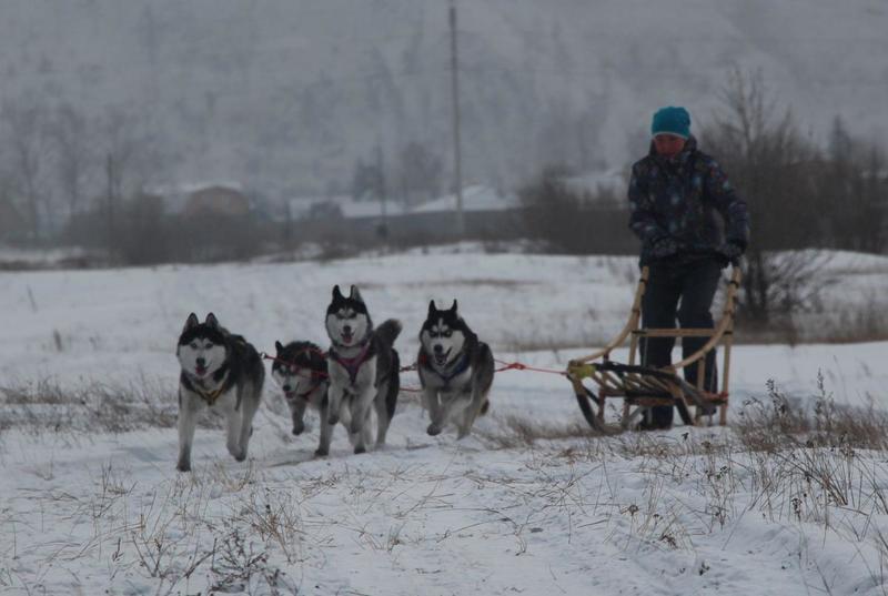 post-49415-0-69049600-1418878783_thumb.j