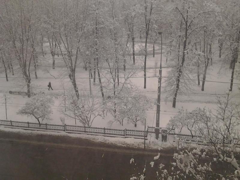 post-50603-0-88284300-1418282918_thumb.j