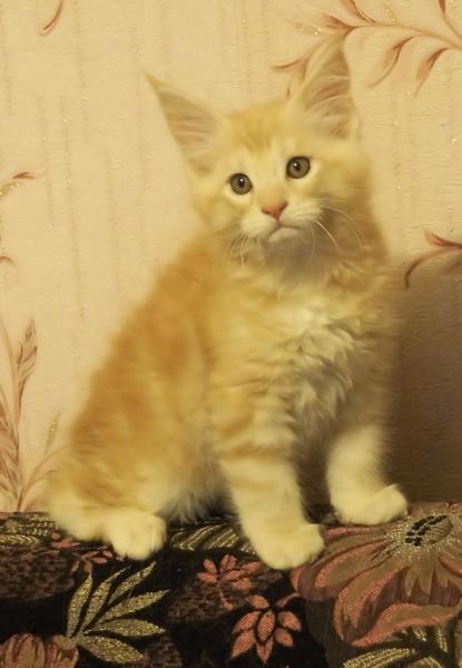 post-52802-0-62900000-1419159357_thumb.j