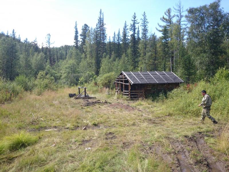 post-54548-0-00064400-1417626083_thumb.j