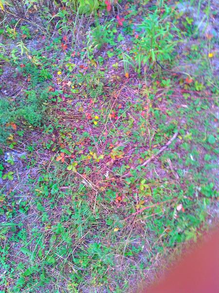 post-54548-0-24813100-1417626528_thumb.j