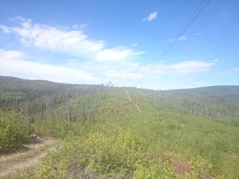 post-54548-0-27542800-1417625988_thumb.j