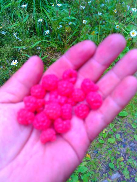 post-54548-0-52961800-1417626552_thumb.j