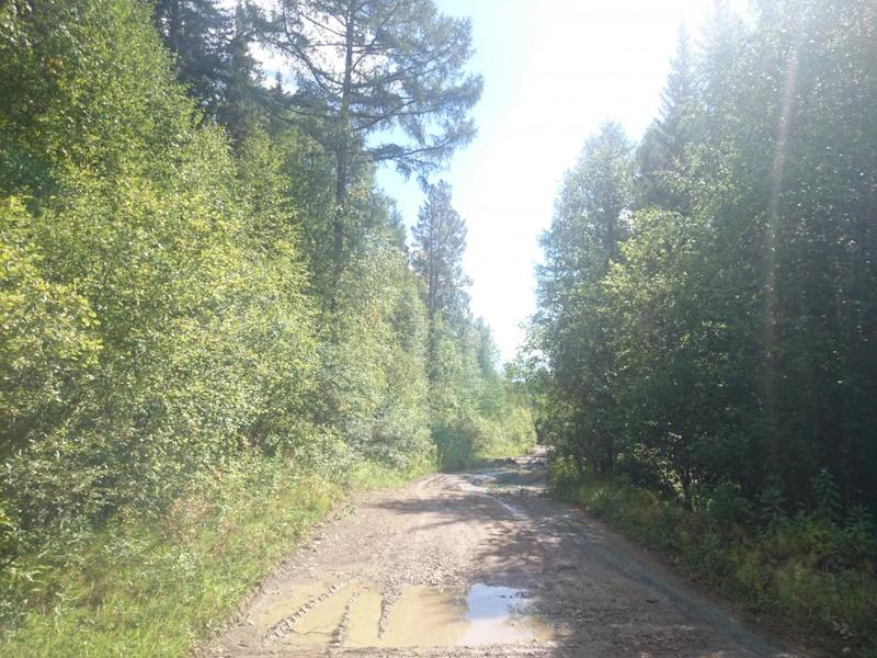 post-54548-0-55906700-1417625564_thumb.j