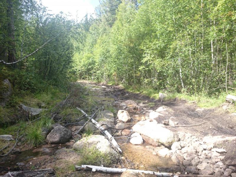 post-54548-0-68382700-1417625505_thumb.j