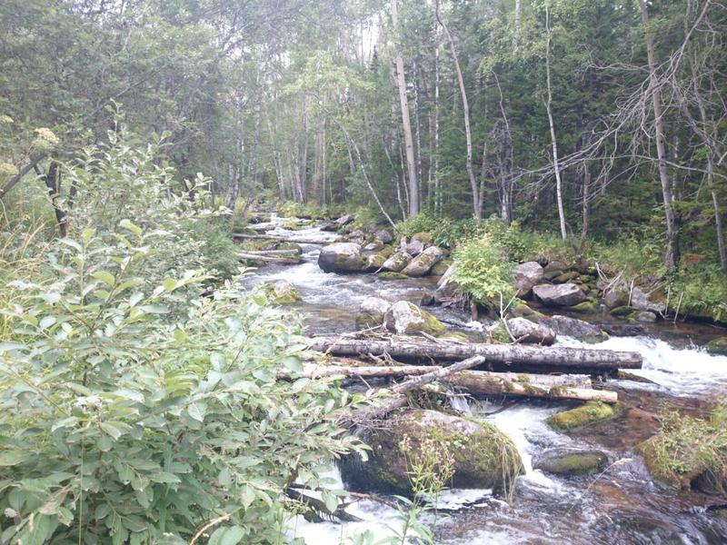 post-54548-0-71866400-1417625318_thumb.j