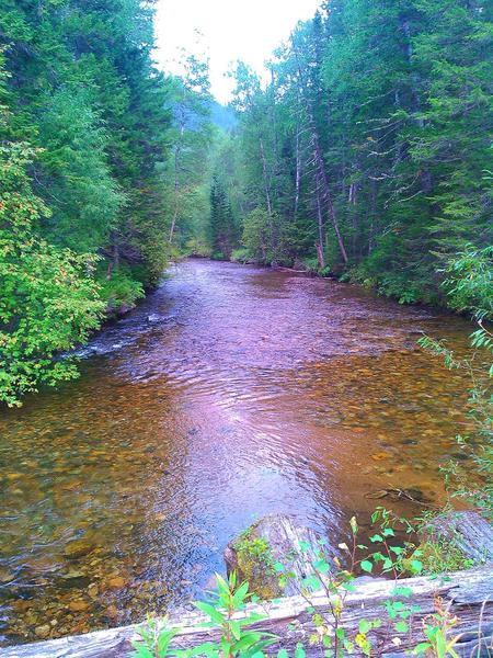 post-54548-0-92658400-1417626353_thumb.j