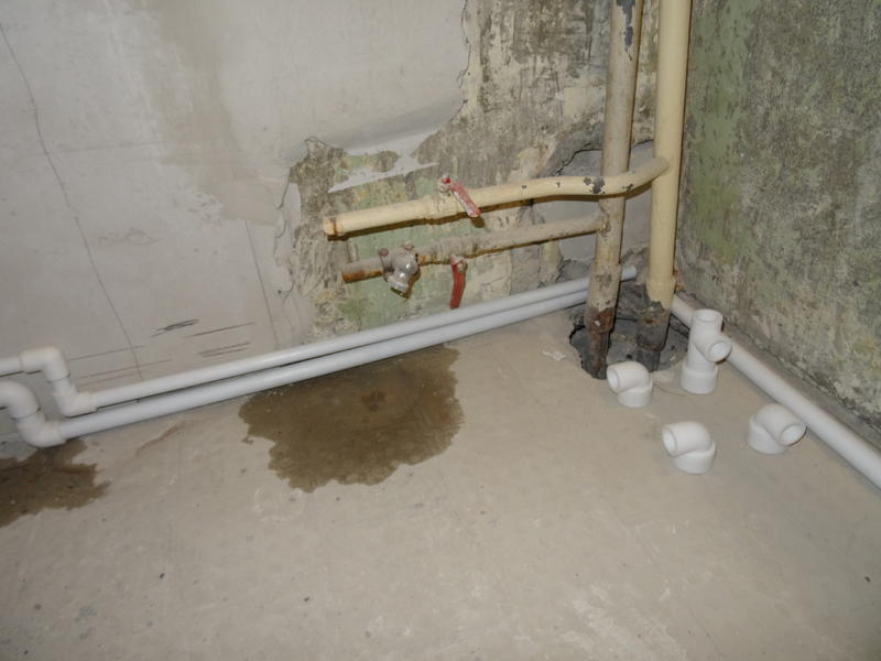 DSC01919.thumb.JPG.5ea30ecfc556dab83234c