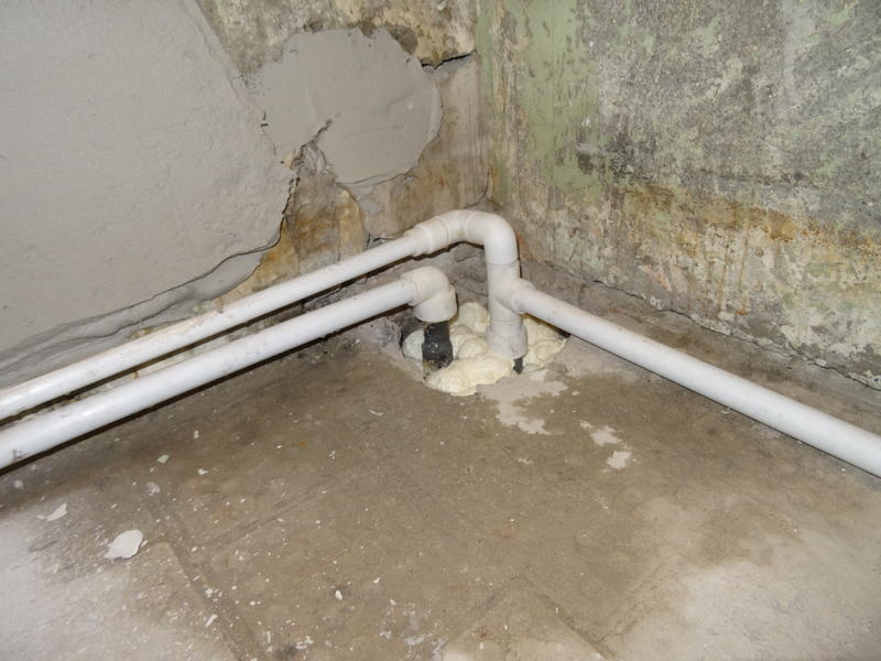 DSC01925.thumb.JPG.b3ee76ffae6ce9e1537f0