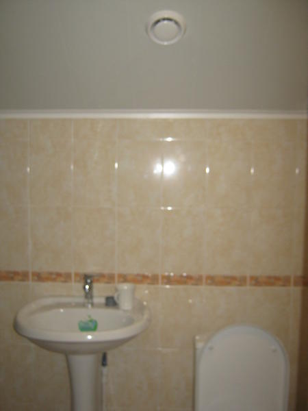 IMG_3253.thumb.JPG.77a74a8cc200acc0fb16f