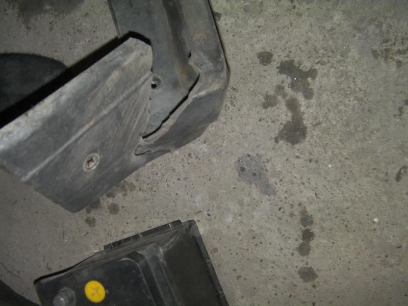 SANY0185.thumb.JPG.690c43f88de2a7fc2452d