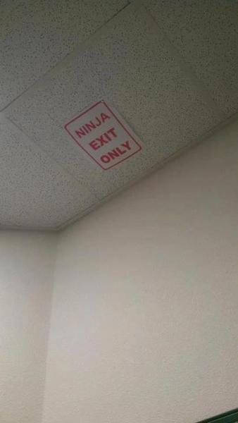 file0193.thumb.jpg.688897ce8d236e204556d