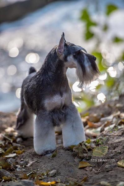 12373211_876996159086503_381777682635438