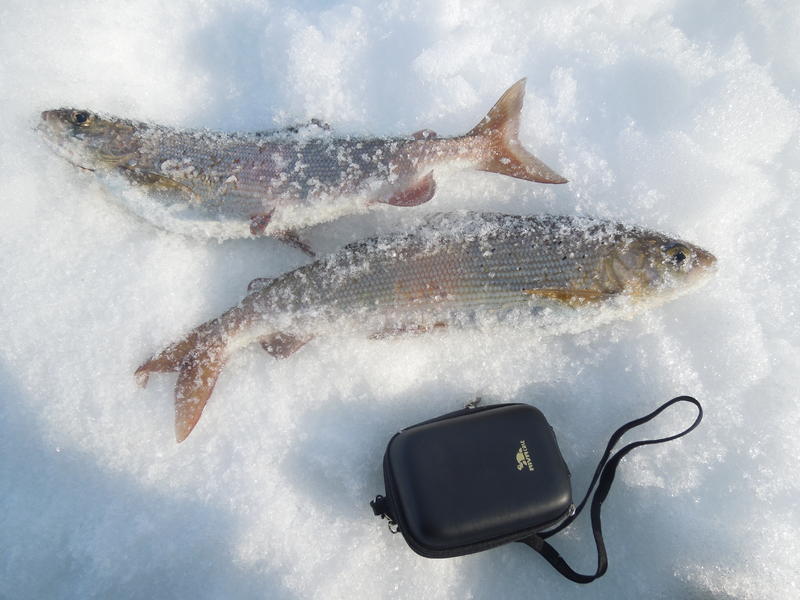 Изображение 063.jpg