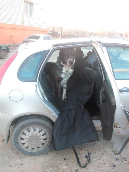 5695072b5cc95_.thumb.jpg.5c46021c501061a