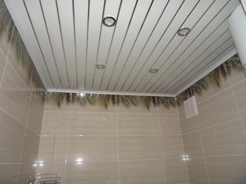 DSC01853.thumb.JPG.520fbdd54d5905a3f29bf