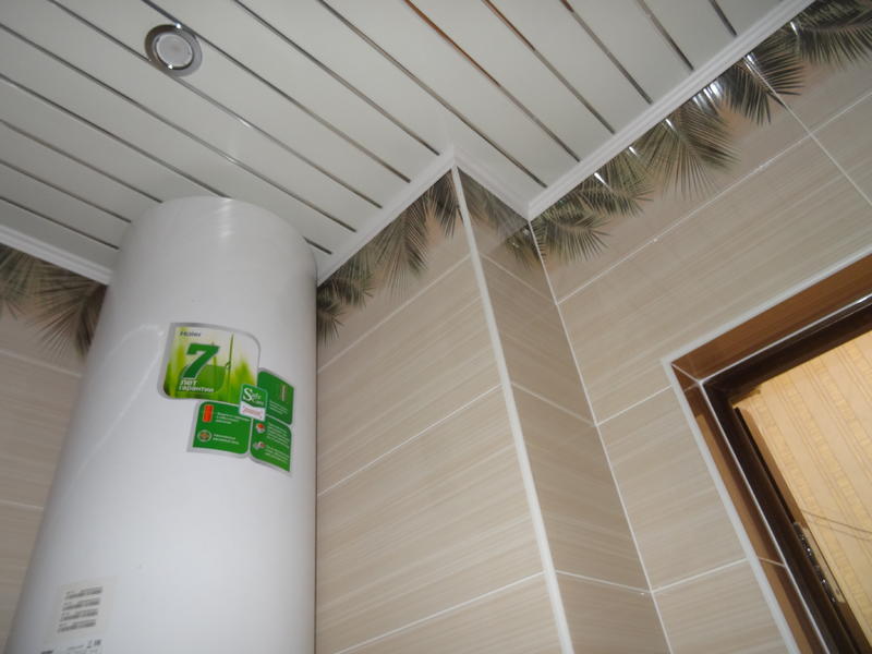 DSC01854.thumb.JPG.f41d12cafd4b92dec8463