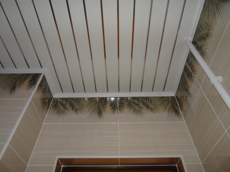 DSC01855.thumb.JPG.3c4785a885ada2185ab38