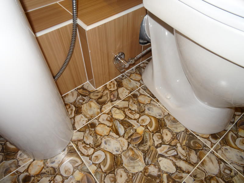 DSC01858.thumb.JPG.f53ac8bdb23930e668c50