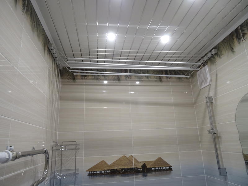 DSC01861.thumb.JPG.2b1459aea67790fdc6c60