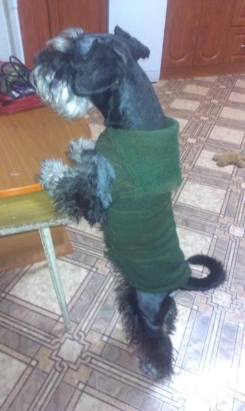 IMAG3409.thumb.jpg.12eb6aaf8df1c4c374913