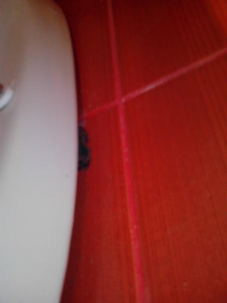 13.thumb.jpg.3a61ba5812c05925bd0feb3f019