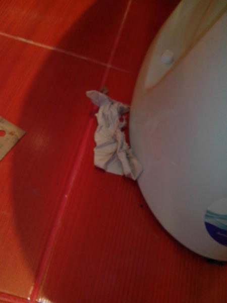 14.thumb.jpg.028f7a15080537837e385928d39