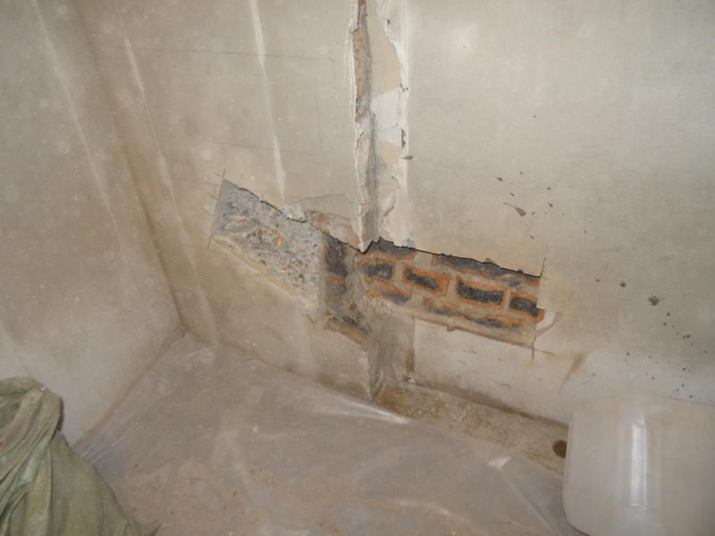 DSC01900.thumb.JPG.9aeef26596f5907cd66d8