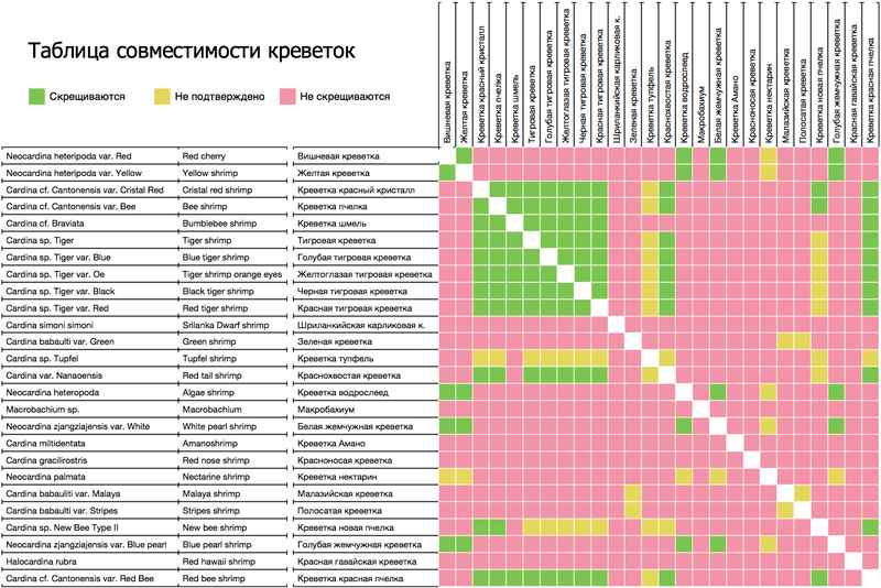 akvariumnye-krevetki-sovmestimost-krevetok-273_1.jpg