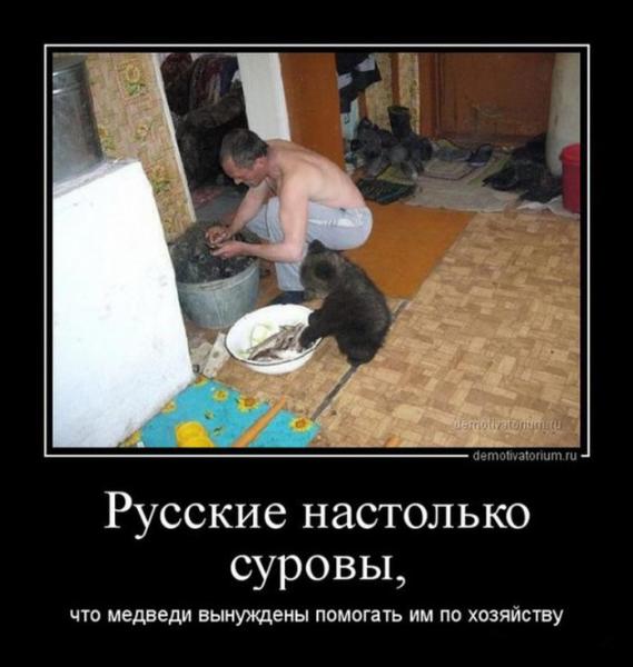 3_5598122.thumb.jpg.25e677d0a8a39626a3ce