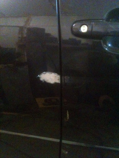 IMG_1706.thumb.jpg.074674bc1bc726ac0ab14