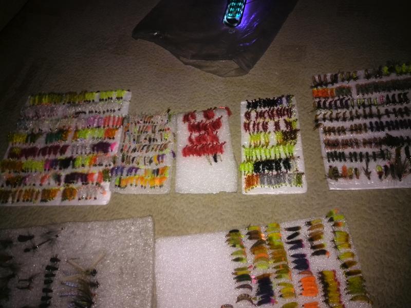 IMG_20160227_171927.thumb.jpg.cf02eac51d