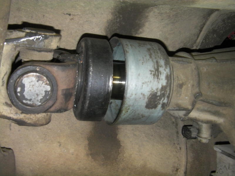 SANY0280.thumb.JPG.5af3a2c0ce24291096342