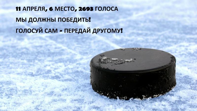 Sport___Hockey_Black_hockey_puck_095735_.jpg