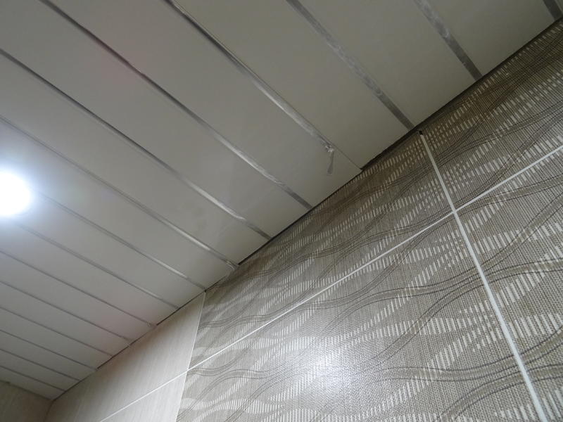 DSC02542 — копия.JPG