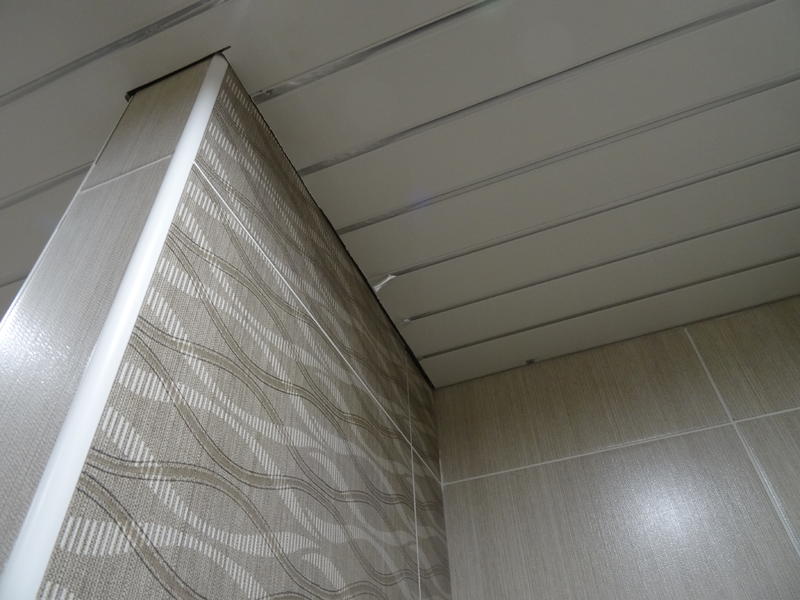 DSC02543 — копия.JPG