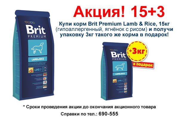 Брит 15 кг. Корм для собак Брит с ягненком 15кг. Brit Premium гипоаллергенный с ягненком и рисом 15 кг. Корм для собак Brit Premium Adult large 15кг штрих. Сухой корм Брит для собак 15 кг.