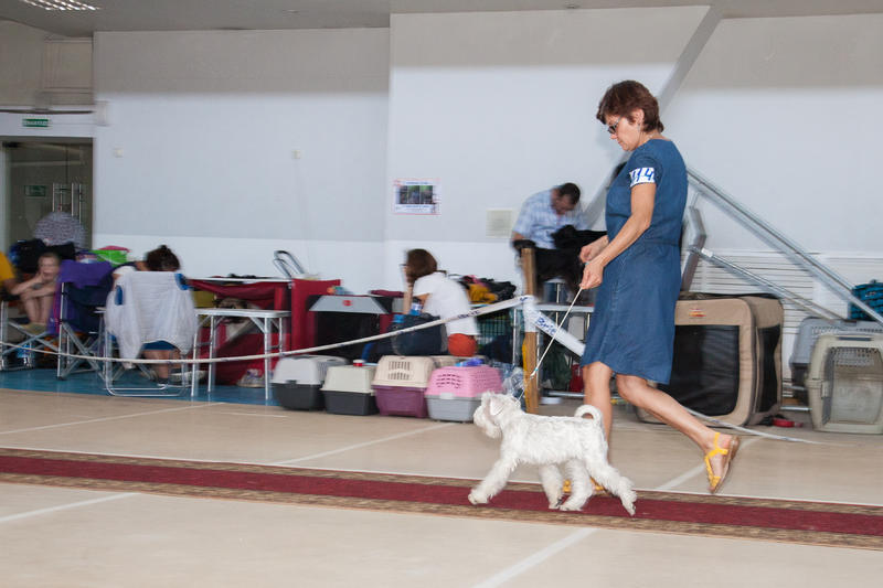 Улан-Удэ 20.08.2016г-280.jpg