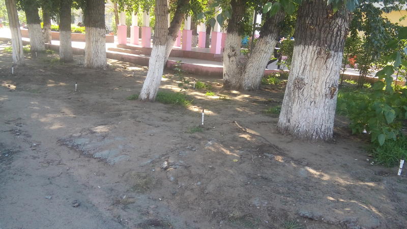 2016-09-17 13-32-01.JPG