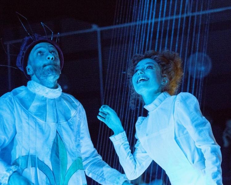 Принцесса из страны Забвении.jpg